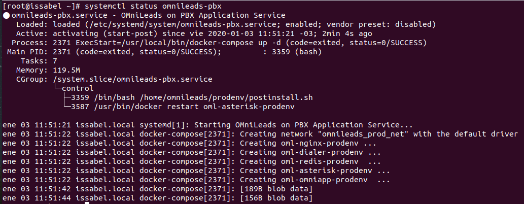 _images/install_docker_systemctl_status.png
