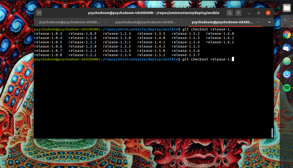 _images/install_releases_deployer.png
