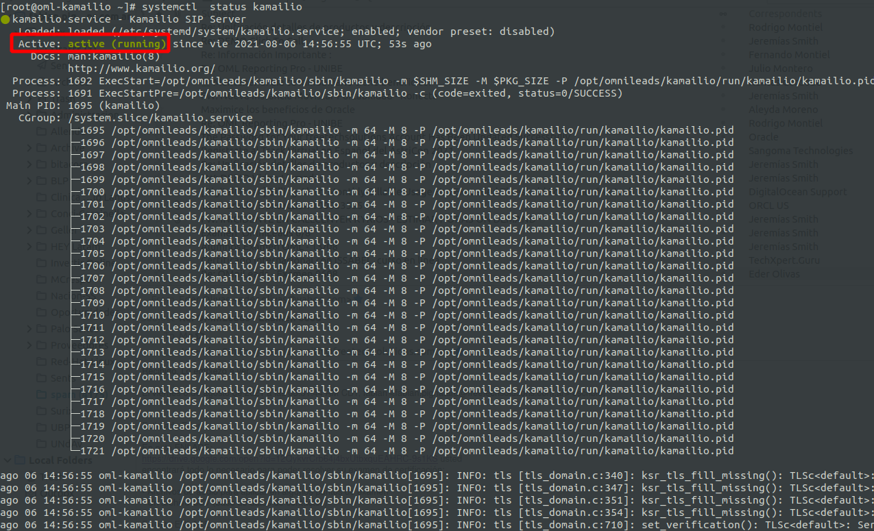 _images/install_kamailio_status.png
