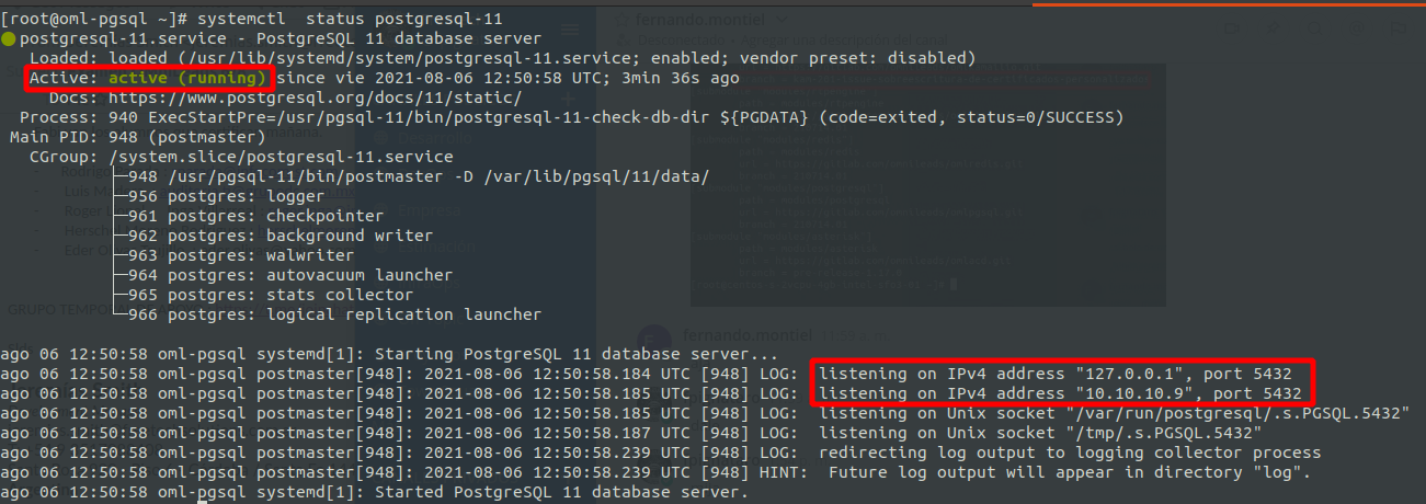 _images/install_pgsql_status.png