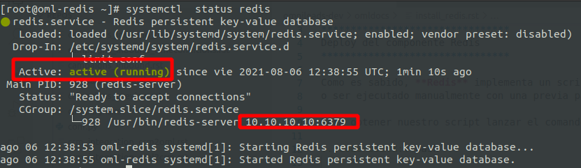 _images/install_redis_status.png