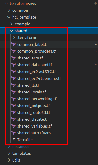 _images/install_terraform_aws_shared_infra_code.png