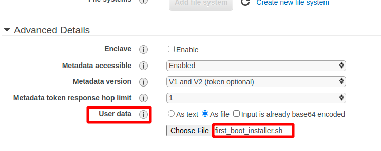_images/install_userdata_aws_1.png