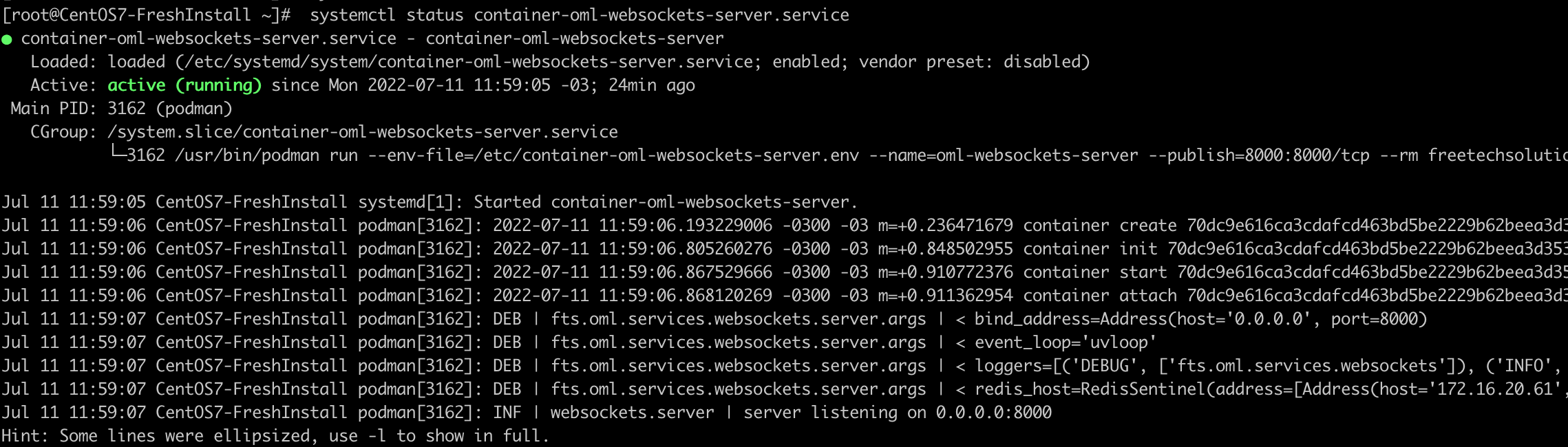 _images/install_websockets_status.png