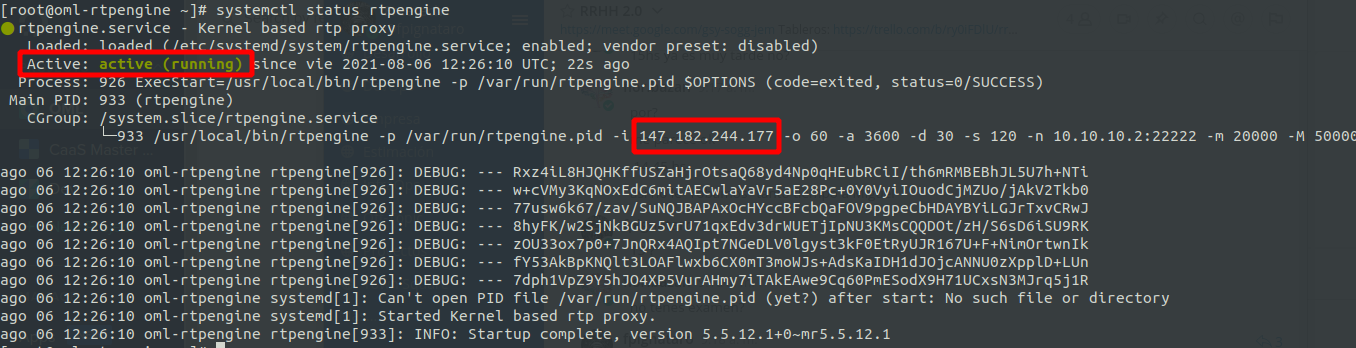 _images/install_rtpengine_status.png