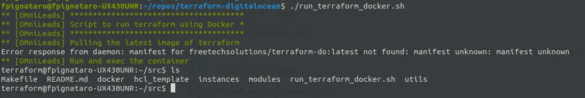 _images/install_terraform_run_docker.png